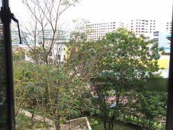 Blk 313 Sembawang Drive (Sembawang), HDB 5 Rooms #135093552